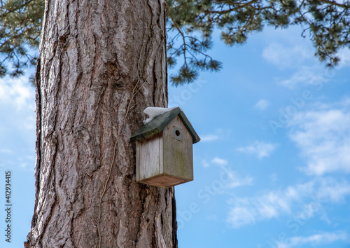 Wooden bird box on tree trunk