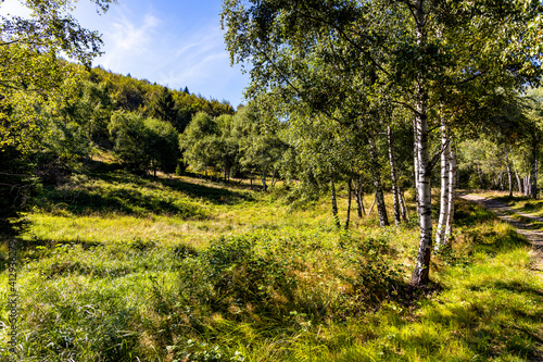 Fototapeta Naklejka Na Ścianę i Meble -  Mixed forest landscape at Leskowiec peak and Przelecz Midowicza Pass in Little Beskids mountains near Andrychow in Lesser Poland