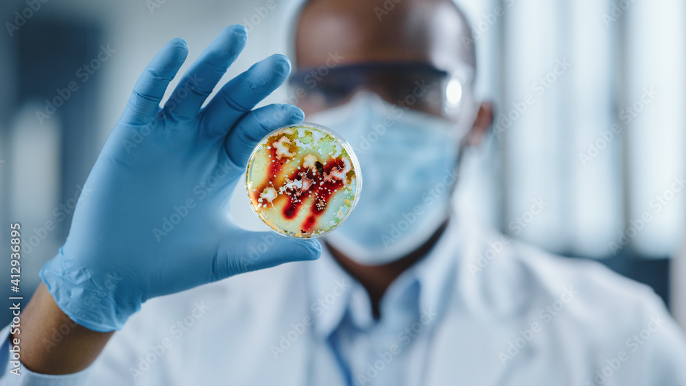 African American Male Scientist Wearing Face Mask and Glasses Looking a Petri Dish with Genetically Modified Sample Chemicals. Microbiologist Working in Modern Laboratory with Technological Equipment. African American Male Scientist Wearing Face Mask and Glasses Looking a Petri Dish with Genetically Modified Sample Chemicals. Microbiologist Working in Modern Laboratory with Technological Equipment.