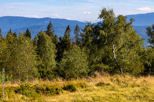 Fototapeta Naklejka Na Ścianę i Meble -  Panoramic view of grassy Leskowiec peak in Little Beskids with Babia Gora peak in southern Beskidy mountains near Andrychów in Lesser Poland