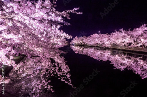 【青森】弘前公園の満開の桜ライトアップとリフレクション