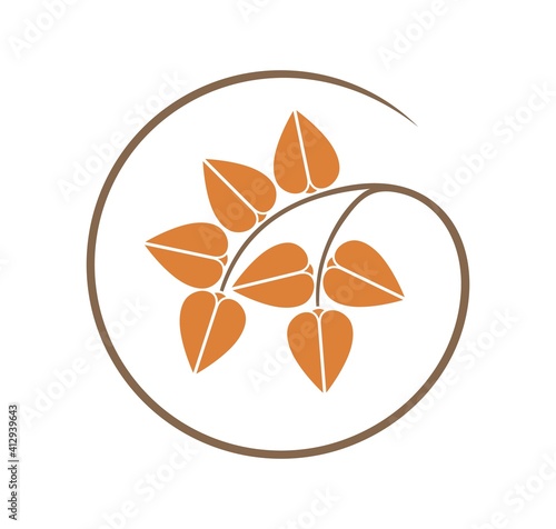 Buckwheat logo. Isolated buckwheat on white background