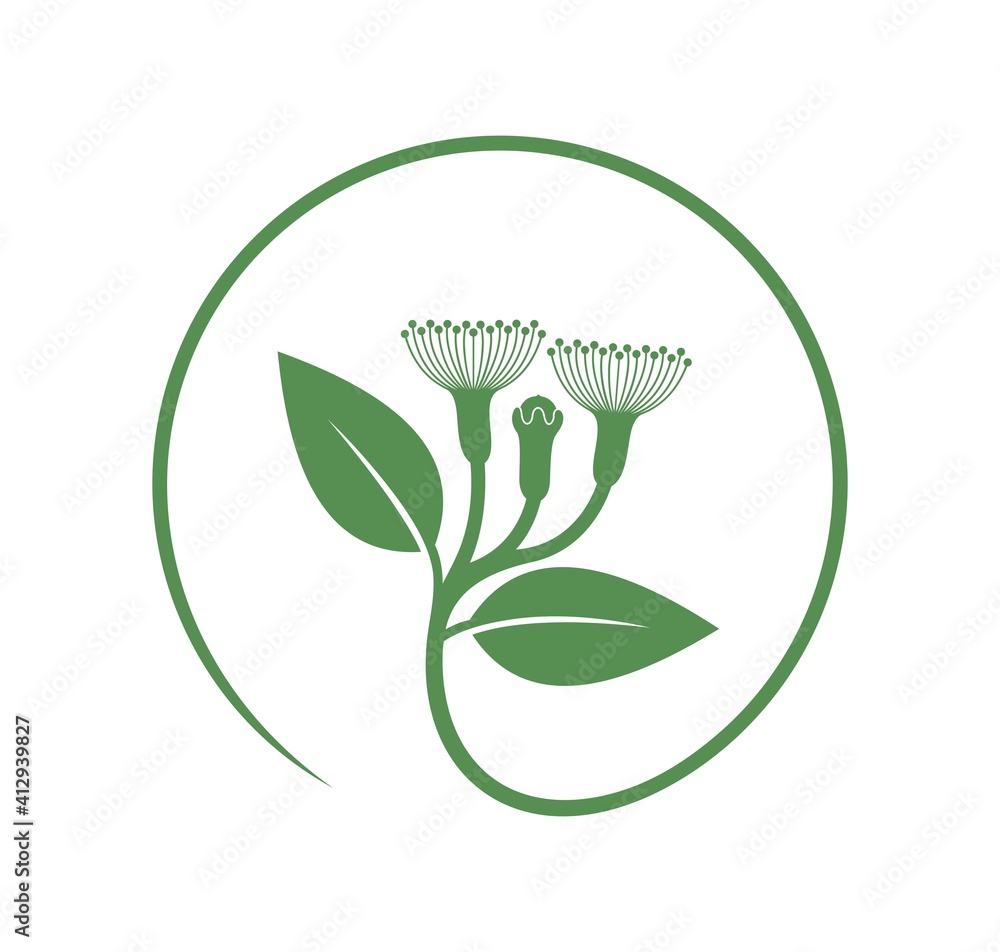 Cloves plant. Isolated cloves on white background Cloves plant. Isolated cloves on white background