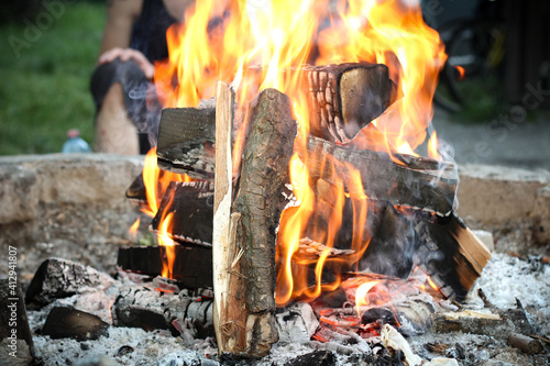 Campfire in the forest with a lot of wood.