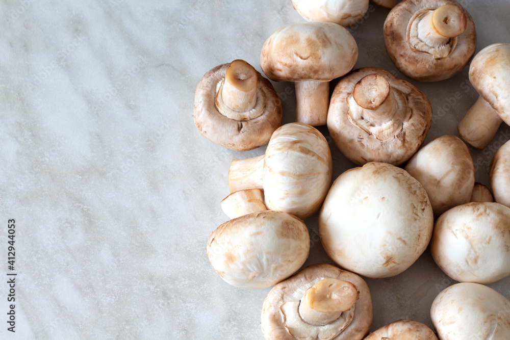 White champignons on a marble table background with copy space White champignons on a marble table background with copy space