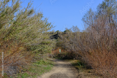 Walking along the paths of Nahal Poleg nature reserve, located in the coastal plain, between Herzliya and Netanya town, Israel. photo