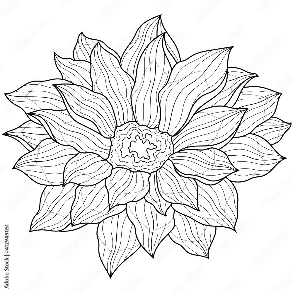 Fototapeta premium Dahlia flower.Coloring book antistress for children and adults. Illustration isolated on white background.Zen-tangle style. Black and white drawing.Hand draw