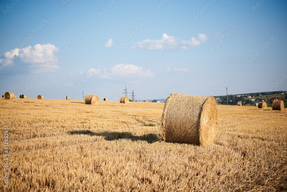 Natural yellow field landscape in summer with blue sky. Stubble field with straw bales on it, during harvest season in countryside. Agricultural rural background. Ecological food production.