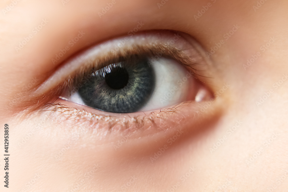 Close-up eyes, pupil blue, gray. Eyelashes of sight, lenses. Sight. Close-up eyes, pupil blue, gray. Eyelashes of sight, lenses. Sight.