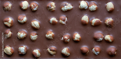 close-up of milk chocolate bar with whole hazelnuts. selective focus. top view