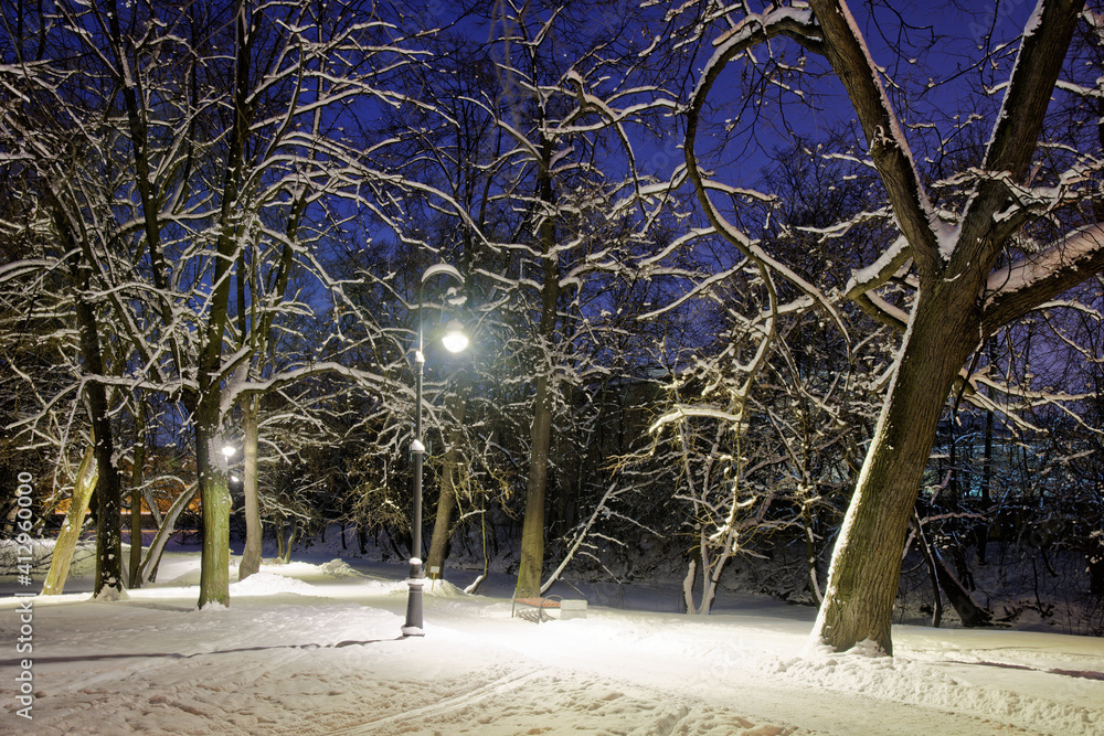 The city park is illuminated with electricity at night.