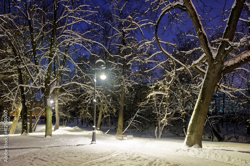 Obraz na płótnie The city park is illuminated with electricity at night. w salonie