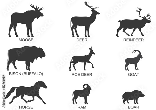 Silhouettes of wild herbivores  icon set. Vector illustration on a white background.
