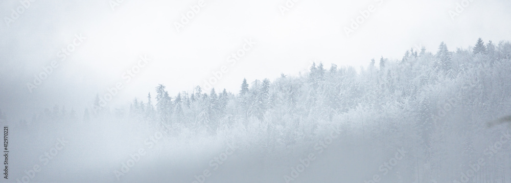 Fototapeta Góry w mglisty dzień