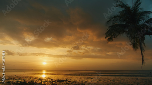 Low tide beach sunset view with palm tree © Artur