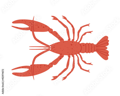Vector illustration of lobster. Hand-drawn illustration in flat style. The concept of marine life, the diversity of wildlife, the world of marine crustaceans. Suitable for web and print design.