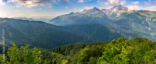 View of the misty slopes of the mountains overgrown with green deciduous forest through the trees.