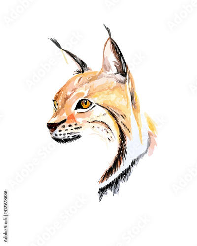 Hand drawn watercolor colorful illustration of lynx isolated on white background.