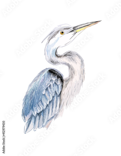 Hand drawn watercolor colorful illustration of heron isolated on white background. 
