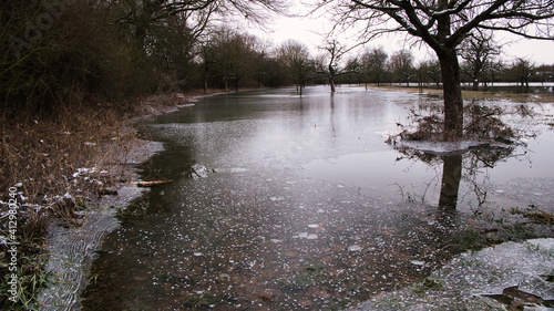 Obstwiesen am Altrhein sind durch Hochwasser im Februar 2021 überflutet und teilweise vereist. Die Bäume spiegeln sich im Wasser. photo