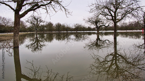 Obstwiesen am Altrhein sind durch Hochwasser im Februar 2021 überflutet und teilweise vereist. Die Bäume spiegeln sich im Wasser. photo