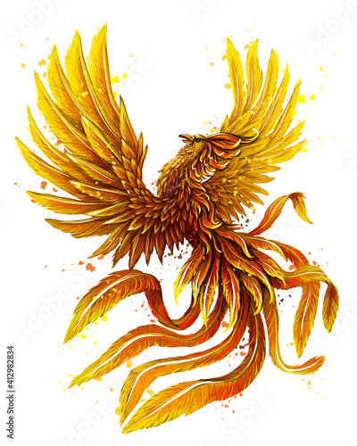 Phoenix. Color, graphic, digital drawing of the phoenix bird in watercolor style on a white background. Vector graphics. Separate layers.