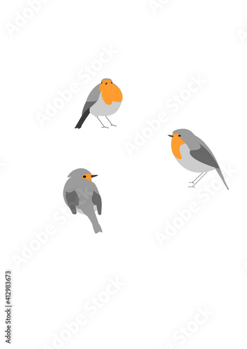 rouge gorge prenant trois positions différentes face coté et trois quart