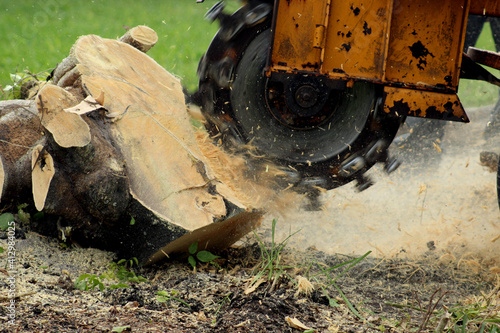Foto Stump Grinding with more depth perception