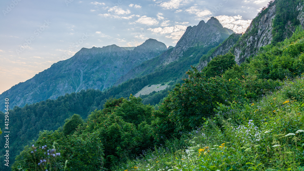 View of the mountainside overgrown with high green forest View of the mountainside overgrown with high green forest