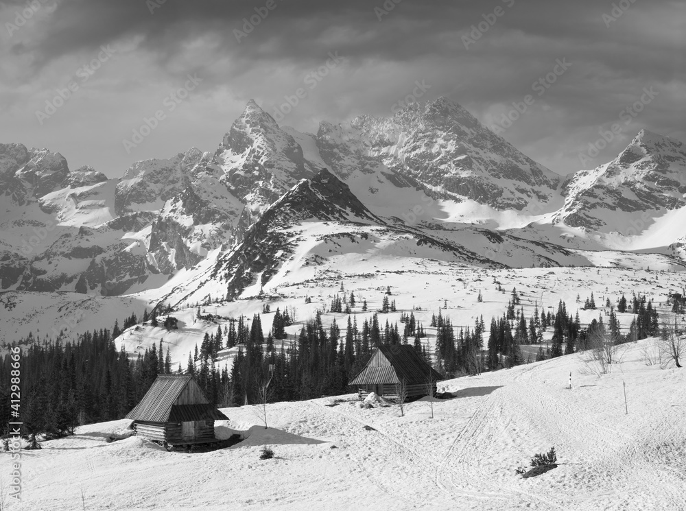 Houses on the background of the Tatras