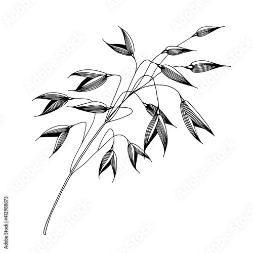 Oats sketch icon. Engraved oatmeal. Line sketch for porridge, muesli, flakes, breakfast. Vintage grain, ears. Healthy food. Autumn harvest of cereals.