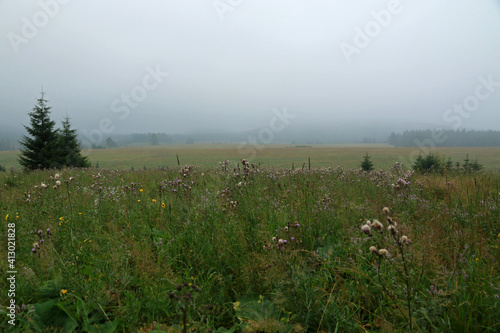 Landscape of Beniowa - former, abandoned village in Bieszczady Mountains in Poland photo