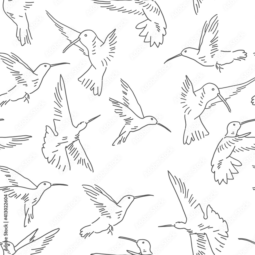 Fototapeta premium Hummingbird seamless pattern. Exotic theme vector background