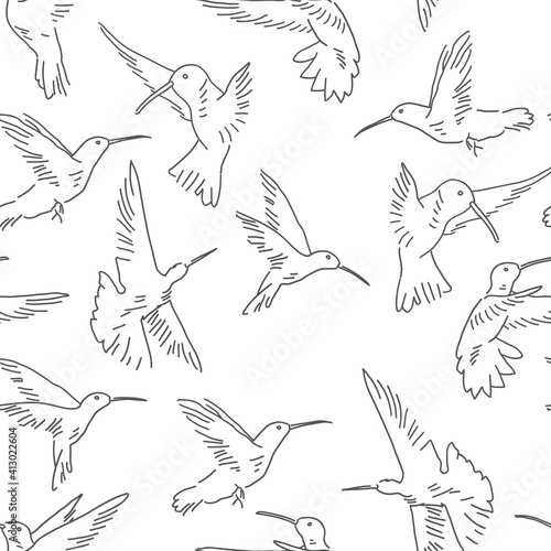Hummingbird seamless pattern. Exotic theme vector background