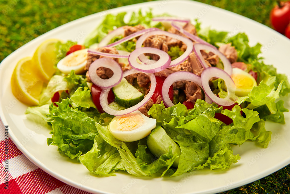Tuna Fish Salad with Lettuce, Cherry Tomatoes, Cucumber and Onion on green grass background. Italian or Mediterranean cuisine Tuna Fish Salad with Lettuce, Cherry Tomatoes, Cucumber and Onion on green grass background. Italian or Mediterranean cuisine