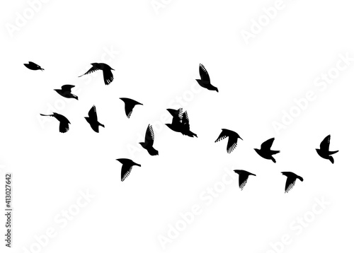 A flock of flying birds. Vector illustration