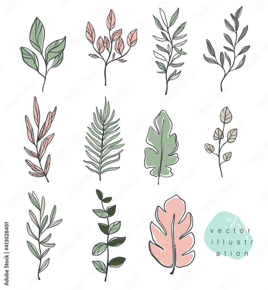 Vector hand drawn illustration , leaves and branches. Minimalistic line art - obrazy, fototapety, plakaty 