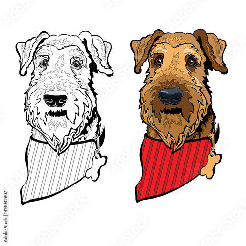 Dog breed Airedale terrier with bandana. Colorful and linear. Vector.