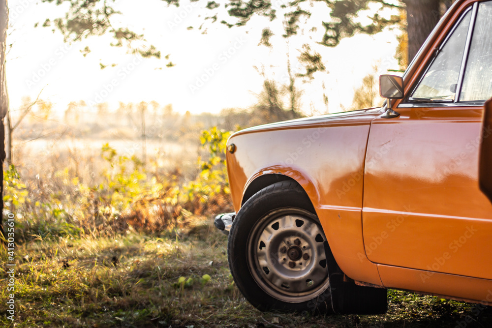 Fototapeta premium Car in the forest