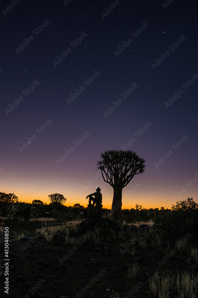 Africa, Namibia. Man looking at the stars in a quiver tree forest.
