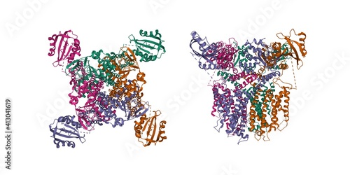 Foto Structure of the human ether-a-go-go related potassium channel, 3D cartoon model