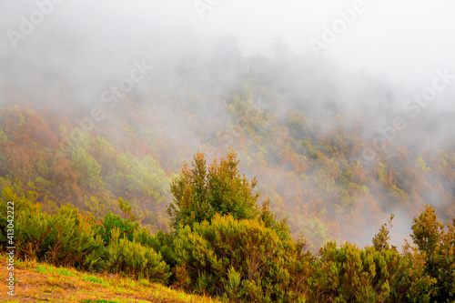 Mistery landscape with green and orange fir forest in hipster vintage retro style © Giampaolo