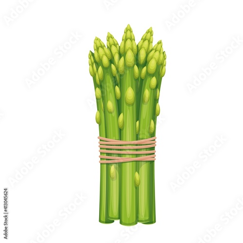 bunch of asparagus vegetable