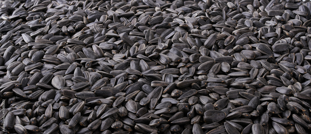 black sunflowers seeds texture background. black sunflowers seeds texture background.