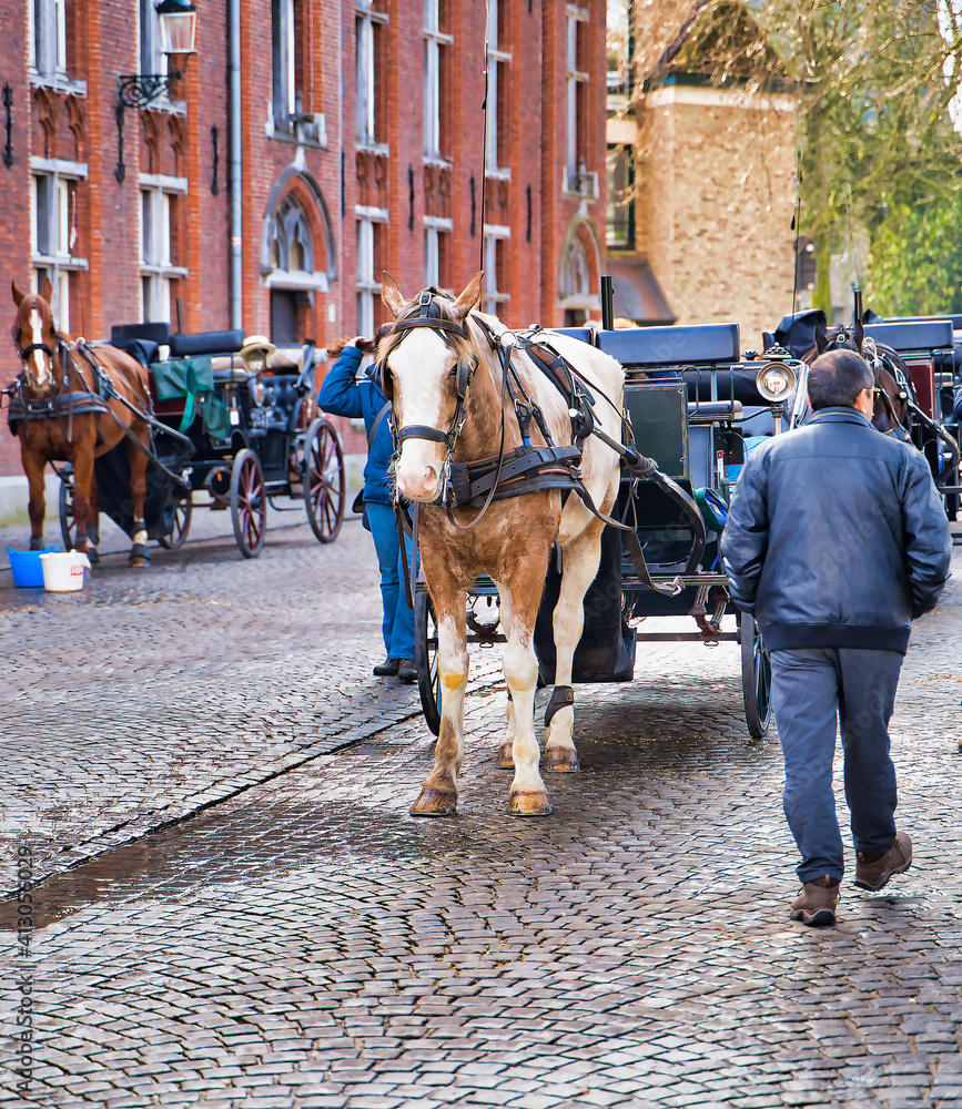 Bruges, Belgium - February 17, 2019: City street with people and typical horse cart walking around in the daytime.