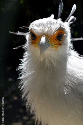 Close up of an head