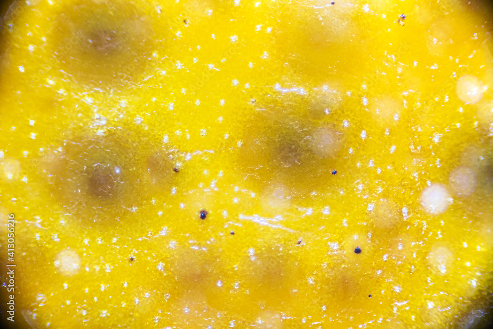 Mandarin peel under the light microscope, detailed peel close up, magnification 40 times Mandarin peel under the light microscope, detailed peel close up, magnification 40 times