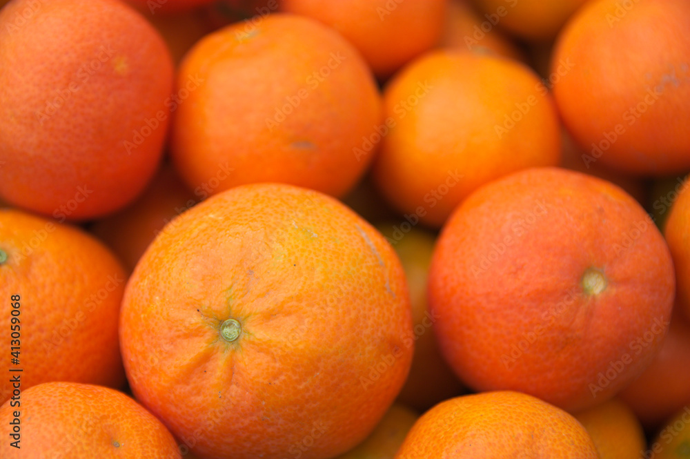 Close-up of a bunch of freshly picked oranges Close-up of a bunch of freshly picked oranges
