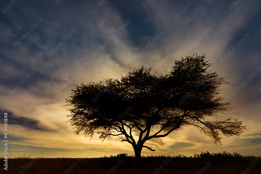 Tree silhouetted at sunset on the vast plains of Serengeti National Park, Tanzania, Africa. Tree silhouetted at sunset on the vast plains of Serengeti National Park, Tanzania, Africa.