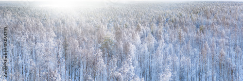 Fototapeta Naklejka Na Ścianę i Meble -  White winter snow covered mixed forest aerial panoramic view